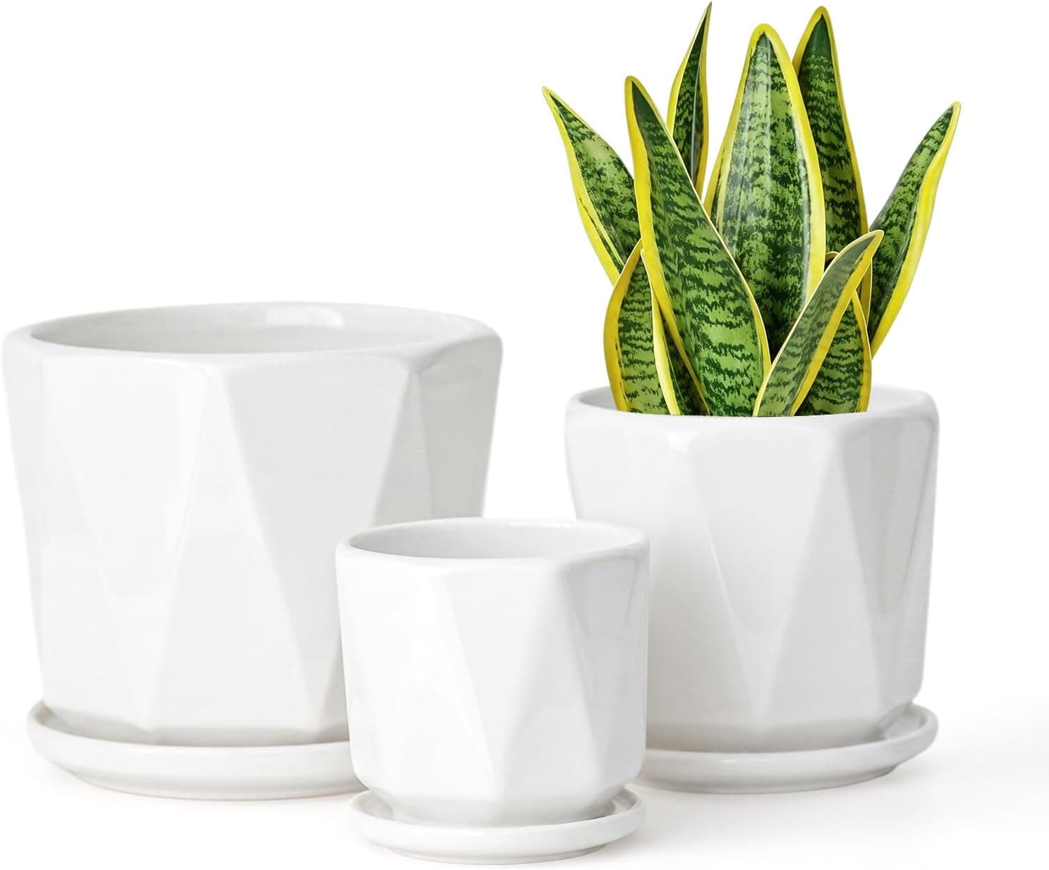 Sin wings Octagon Ceramic Plant Pots Indoor White Flower Planter Set with Drainage Holes