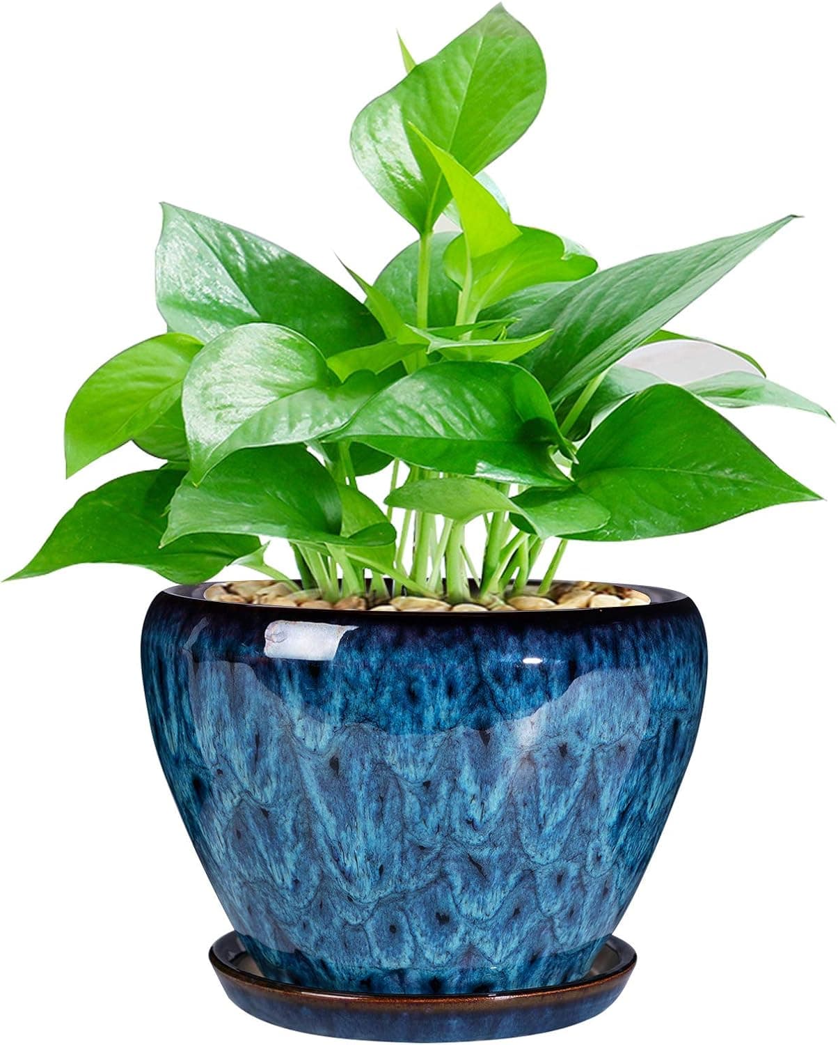 Ceramic Modern Glaze Succulent Planter Pot with Drainage Hole and Saucer, 6 Inch Round