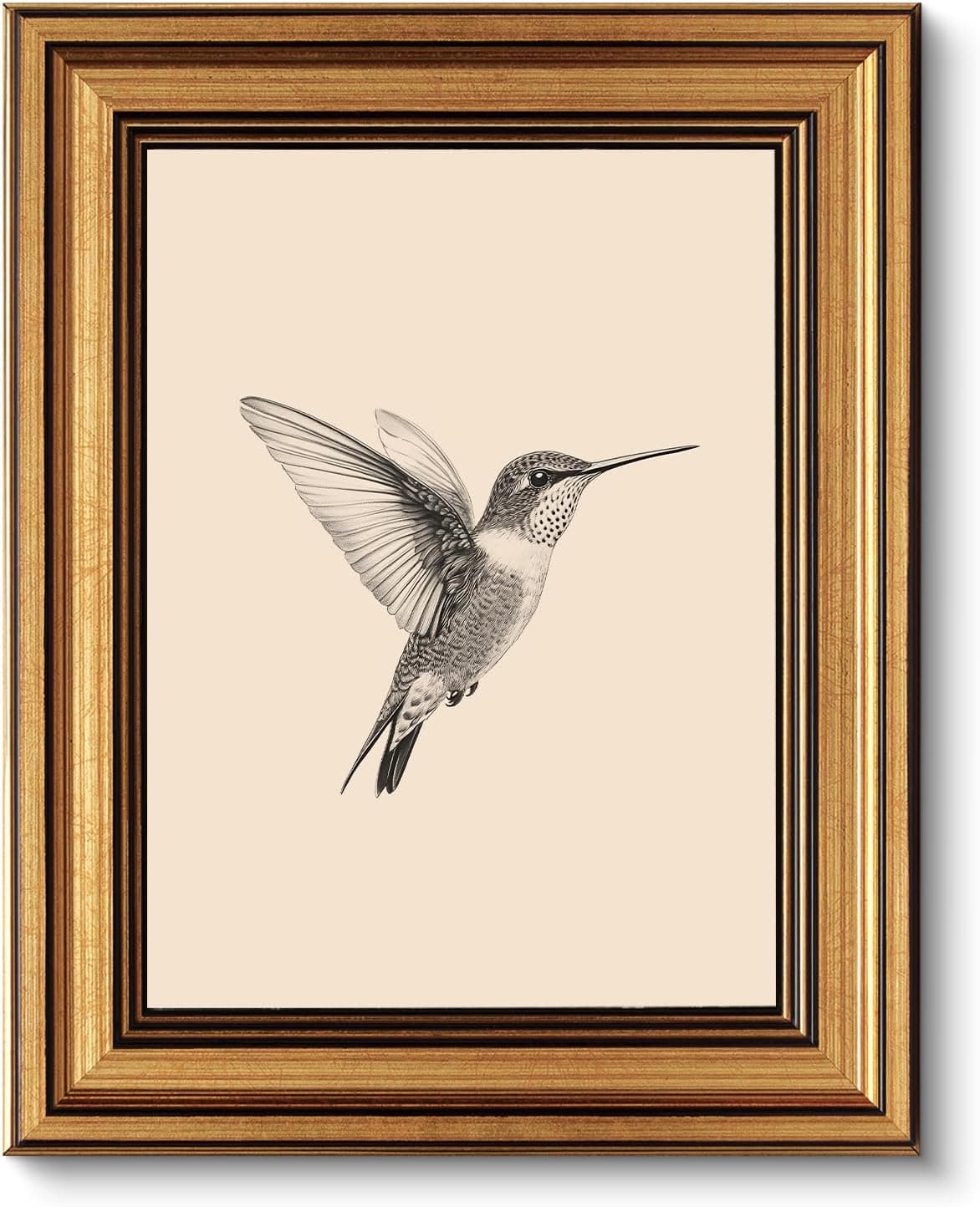 VIYYIEA Vintage Gold Framed Wall Art - Hummingbird Sketch, 8x10 IN, Affordable & High Quality Bathroom Wall Decor