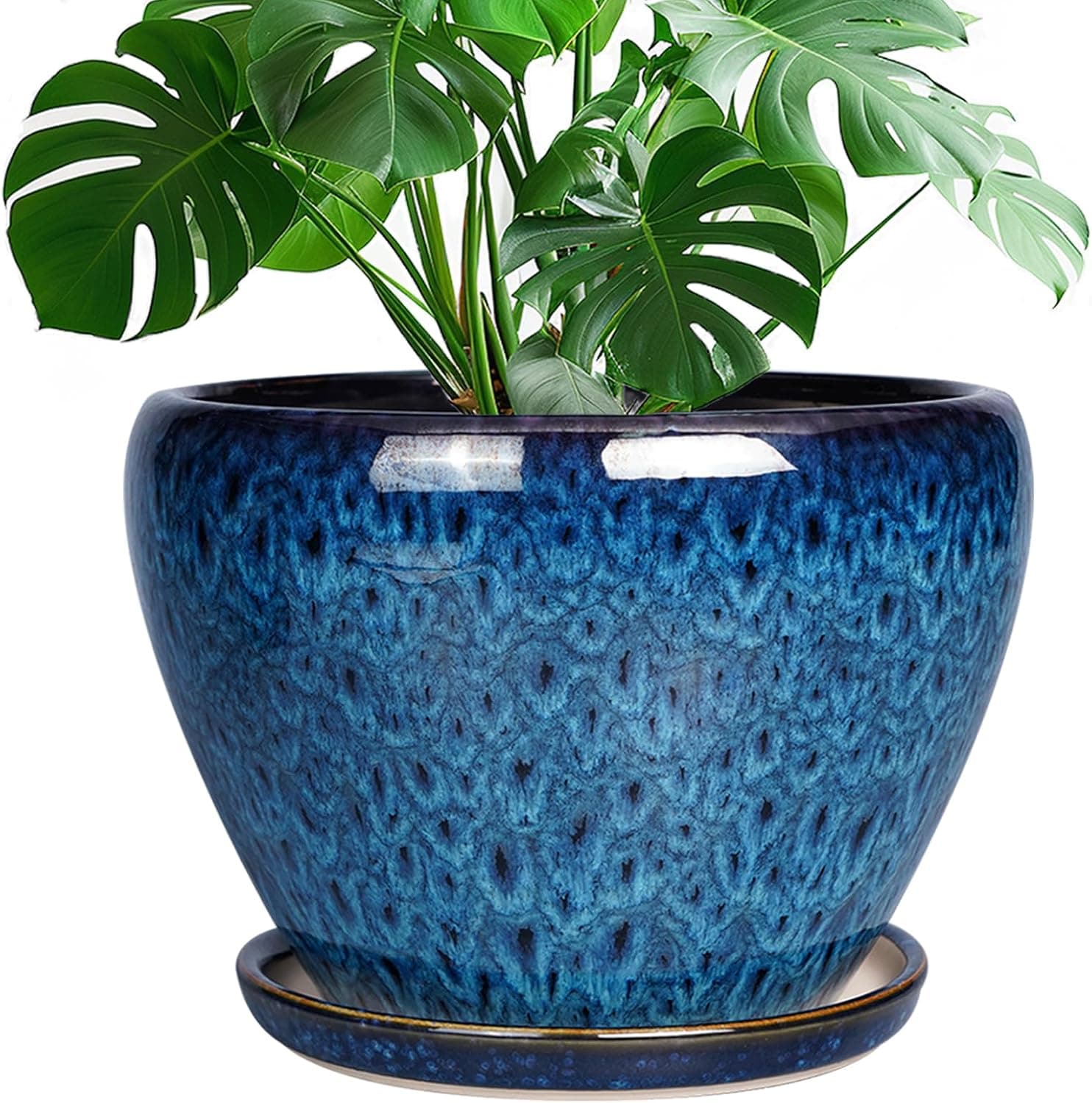 Best Ceramic Planters