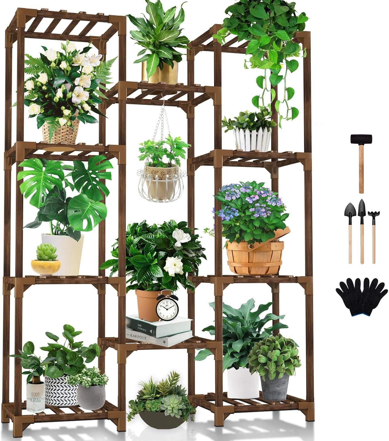 Best Picks for Growing a Plant Collection